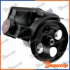 Pompe de direction assistée pour CITROEN | SPW-CT-013, 11-146310018